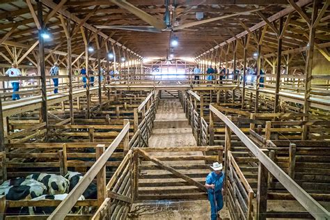 navasota livestock auction barn